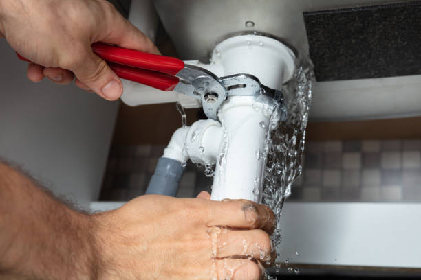 Best Professional water damage repair  in Seguin, TX
