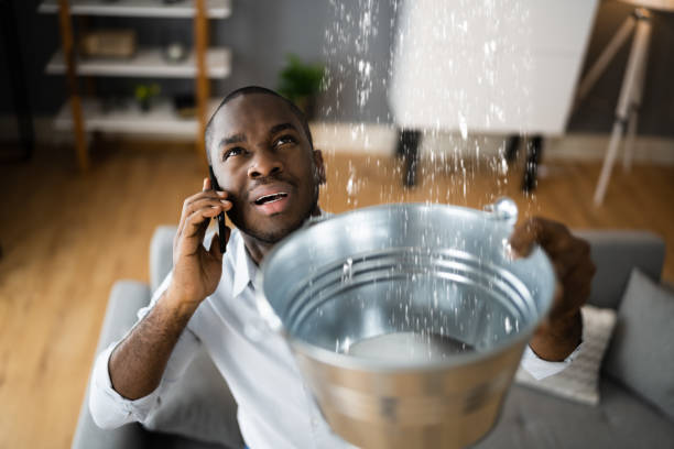 Best Water damage cleanup near me  in Seguin, TX