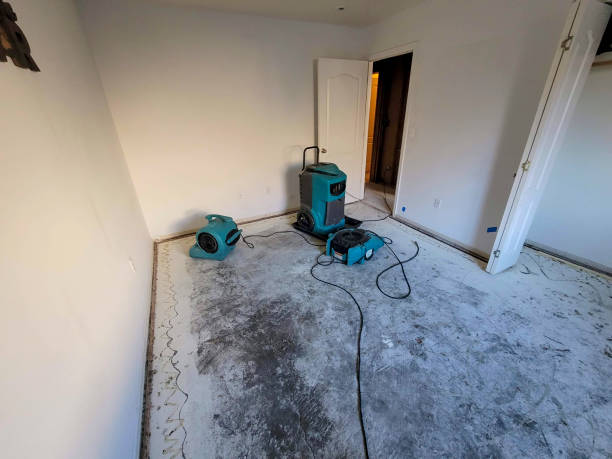 Best Carpet water damage restoration  in Seguin, TX