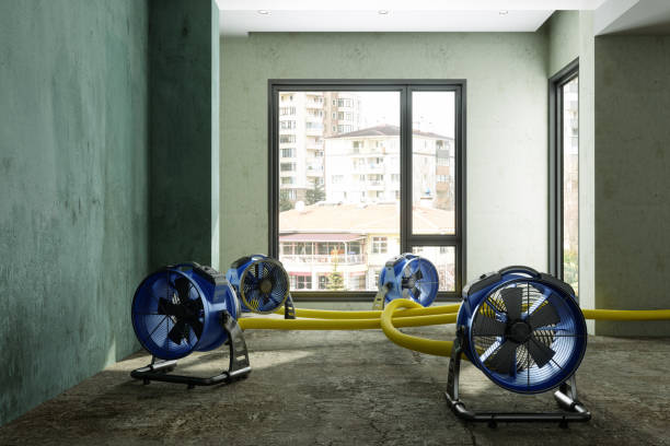 Best Fire Damage Restoration  in Seguin, TX